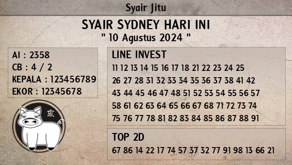 SYAIR SDY VIP